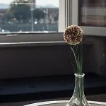 Magic View