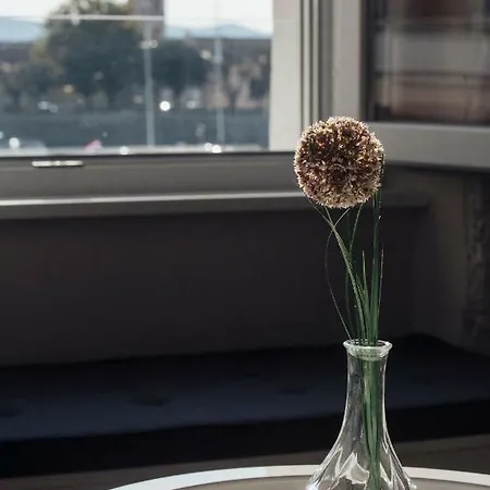 Magic View